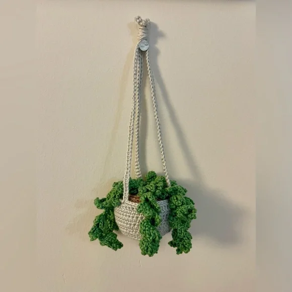 Handcrafted Crochet Hanging Plant Fern Decor Home Car Desk Accessory - Picture 1 of 8